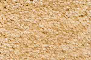 Ковролин AW Masquerade Gaudia 36 фото  | FLOORDEALER